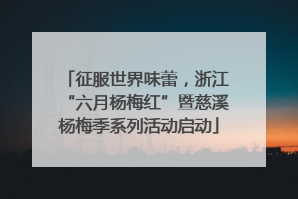 征服世界味蕾，浙江“六月杨梅红”暨慈溪杨梅季系列活动启动