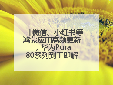 微信、小红书等鸿蒙应用高频更新，华为Pura 80系列到手即解锁全新体验！