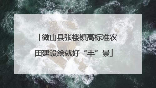 微山县张楼镇高标准农田建设绘就好“丰”景