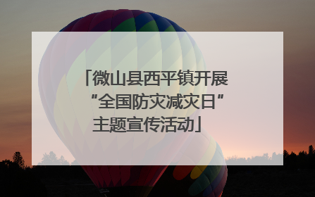 微山县西平镇开展“全国防灾减灾日”主题宣传活动
