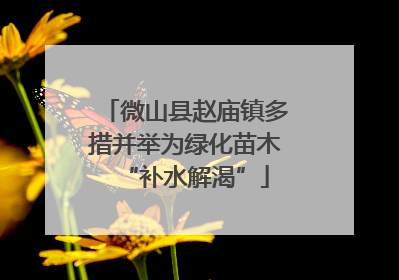 微山县赵庙镇多措并举为绿化苗木“补水解渴”