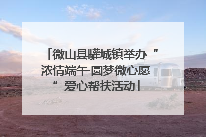 微山县驩城镇举办“浓情端午·圆梦微心愿”爱心帮扶活动