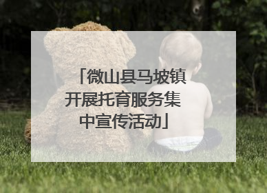 微山县马坡镇开展托育服务集中宣传活动