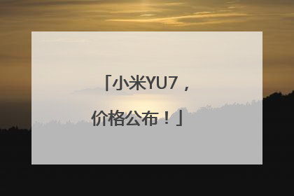 小米YU7，价格公布！