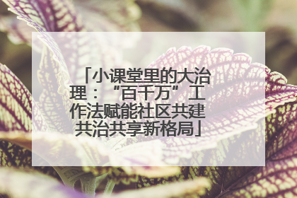 小课堂里的大治理：“百千万”工作法赋能社区共建共治共享新格局