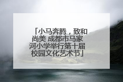 小马奔腾，致和尚美 成都市马家河小学举行第十届校园文化艺术节