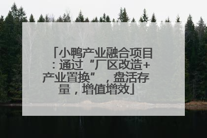 小鸭产业融合项目：通过“厂区改造+产业置换”，盘活存量，增值增效