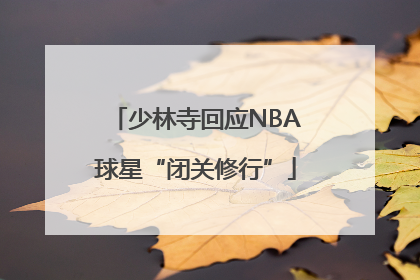 少林寺回应NBA球星“闭关修行”