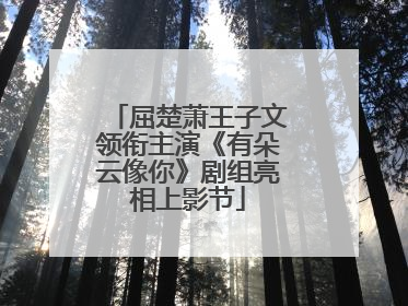 屈楚萧王子文领衔主演《有朵云像你》剧组亮相上影节