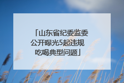 山东省纪委监委公开曝光5起违规吃喝典型问题