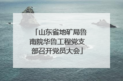 山东省地矿局鲁南院华鲁工程党支部召开党员大会