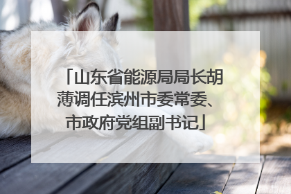 山东省能源局局长胡薄调任滨州市委常委、市政府党组副书记