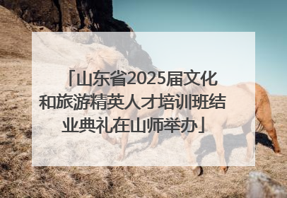 山东省2025届文化和旅游精英人才培训班结业典礼在山师举办