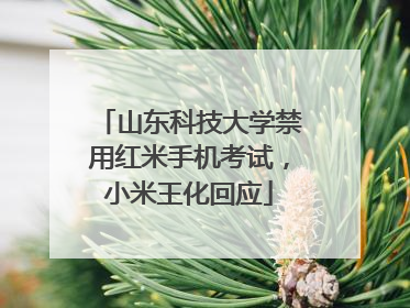 山东科技大学禁用红米手机考试，小米王化回应
