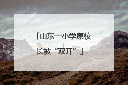 山东一小学原校长被“双开”