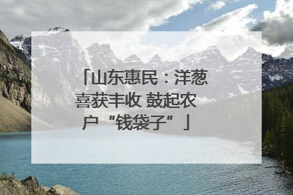 山东惠民：洋葱喜获丰收 鼓起农户“钱袋子”