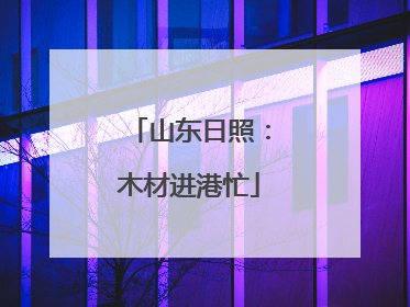山东日照：木材进港忙