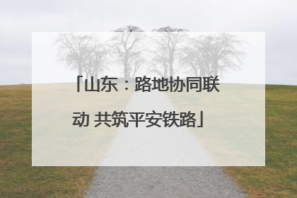 山东：路地协同联动 共筑平安铁路