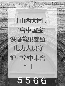 山西大同：“鸟中国宝”铁塔筑巢繁殖 电力人员守护“空中来客”