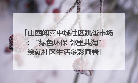 山西闻喜中城社区跳蚤市场：“绿色环保 邻里共淘” 绘就社区生活多彩画卷