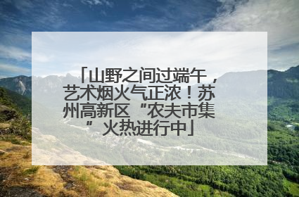 山野之间过端午，艺术烟火气正浓！苏州高新区“农夫市集”火热进行中