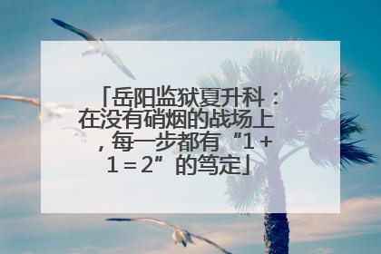 岳阳监狱夏升科：在没有硝烟的战场上，每一步都有“1＋1＝2”的笃定