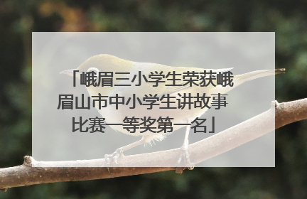 峨眉三小学生荣获峨眉山市中小学生讲故事比赛一等奖第一名