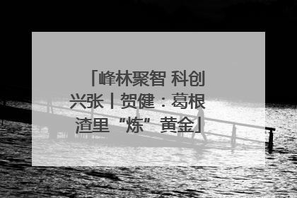 峰林聚智 科创兴张丨贺健：葛根渣里“炼”黄金