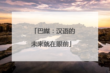 巴媒：汉语的未来就在眼前