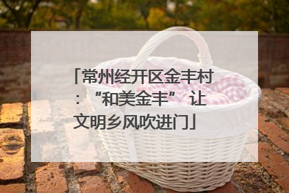 常州经开区金丰村：“和美金丰” 让文明乡风吹进门