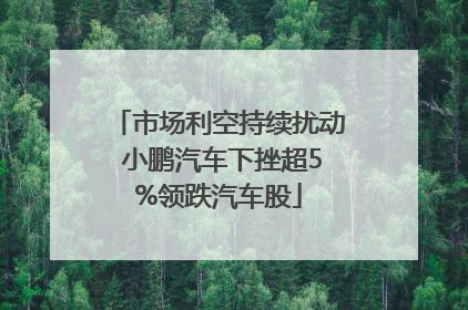 市场利空持续扰动 小鹏汽车下挫超5%领跌汽车股