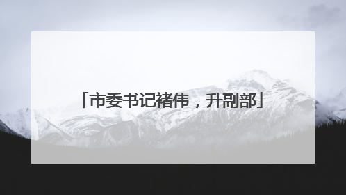 市委书记褚伟，升副部