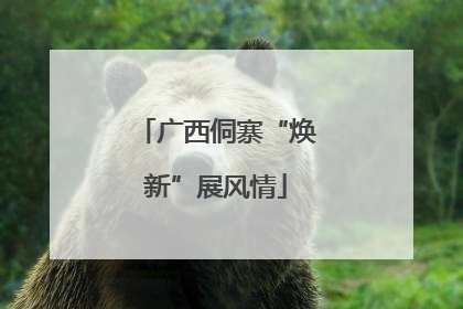 广西侗寨“焕新”展风情