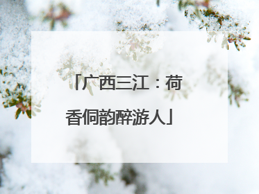 广西三江：荷香侗韵醉游人