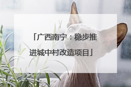 广西南宁：稳步推进城中村改造项目