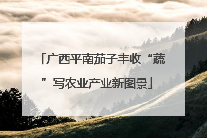 广西平南茄子丰收“蔬”写农业产业新图景