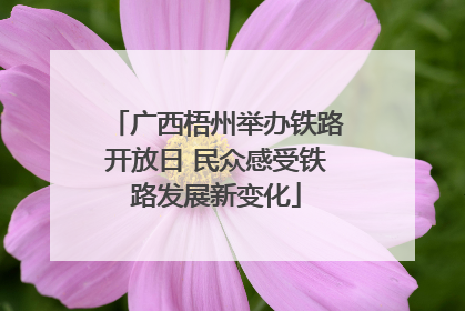 广西梧州举办铁路开放日 民众感受铁路发展新变化