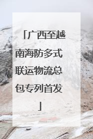 广西至越南海防多式联运物流总包专列首发