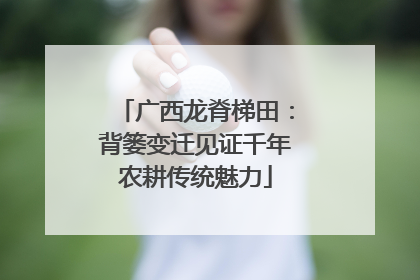 广西龙脊梯田：背篓变迁见证千年农耕传统魅力