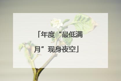 年度“最低满月”现身夜空