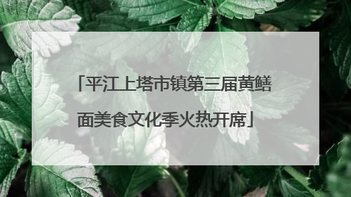 平江上塔市镇第三届黄鳝面美食文化季火热开席