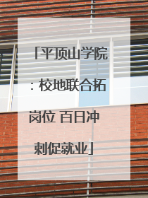 平顶山学院：校地联合拓岗位 百日冲刺促就业