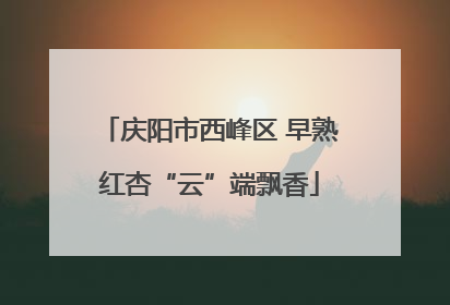 庆阳市西峰区 早熟红杏“云”端飘香