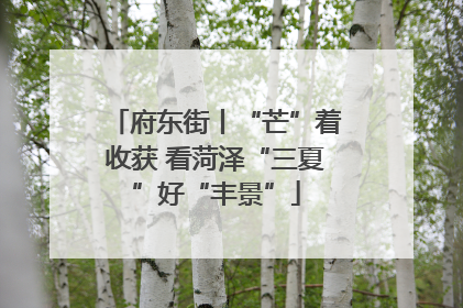府东街丨“芒”着收获 看菏泽“三夏”好“丰景”