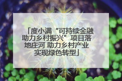 度小满“可持续金融助力乡村振兴”项目落地庄河 助力乡村产业实现绿色转型