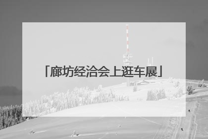 廊坊经洽会上逛车展