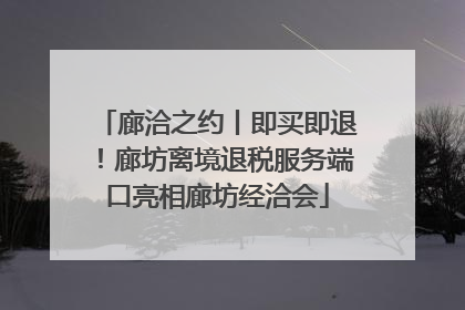廊洽之约丨即买即退！廊坊离境退税服务端口亮相廊坊经洽会