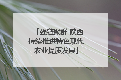 强链聚群 陕西持续推进特色现代农业提质发展
