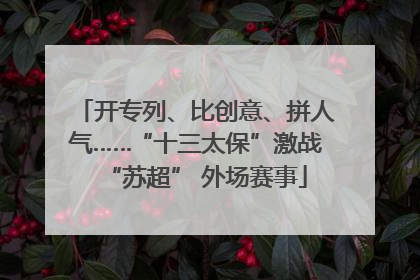 开专列、比创意、拼人气……“十三太保”激战“苏超” 外场赛事
