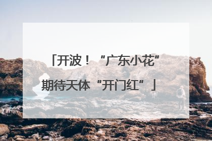 开波！“广东小花”期待天体“开门红”
